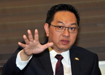 International Trade, Investment and Utilities committee chairman Jimmy Puah Wee Tse