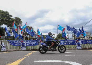 Pic credit: Malay Mail