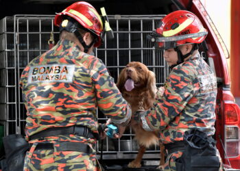 SHAH ALAM, 2 Jan -- Anggota Jabatan Bomba dan Penyelamat Malaysia (JBPM) Assan John (kiri) dan rakan Jovesster Junil (kanan) membawa anjing pengesan Unit K9 Rusty semasa melakukan siasatan susulan kebakaran sebuah gedung tekstil terkemuka Jakel cawangan Shah Alam di Wisma Jakel, Seksyen 7 hari ini.

Pengarah Urusan Kumpulan Jakel Datuk Seri Mohamed Faroz Mohamed Jakel berkata syarikatnya mengalami kerugian awal yang dianggarkan hampir RM100 juta dalam kejadian kebakaran semalam.

--fotoBERNAMA (2023) HAK CIPTA TERPELIHARA