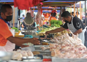 PORT DICKSON, 29 Okt  -- Peniaga dilihat sibuk menyediakan tambahan stok bekalan ayam untuk menampung permintaan pelanggan di Pasar Tani Pasaraya Econsave, hari ini. 
Menerusi Bajet 2022 yang dibentangkan oleh Menteri Kewangan Tengku Datuk Seri Zafrul Abdul Aziz, kerajaan menyediakan sejumlah RM14.2 bilion dana tersedia untuk perusahaan kecil dan sederhana (PKS).
Bajet 2022 akan menyediakan sejumlah RM332.1 bilion yang juga peruntukan tertinggi berbanding bajet-bajet sebelum ini dengan tumpuan ke arah memulihkan setiap segmen sosioekonomi negara.
Menteri Kewangan itu berkata daripada jumlah tersebut, kerajaan bercadang menyediakan RM233.5 bilion bagi belanja pengurusan, RM75.6 bilion untuk belanja pembangunan dan RM23 bilion akan dipertuntukkan kepada Kumpulan Wang COVID-19.
--fotoBERNAMA (2021) HAK CIPTA TERPELIHARA