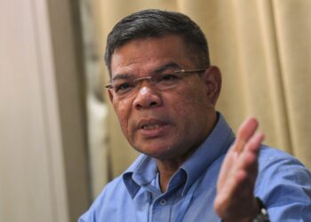 Datuk Seri Saifuddin Nasution Ismail (Image: Bernama)