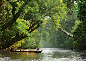 LATA BERKOH (NATIONAL PARK) - PAHANG