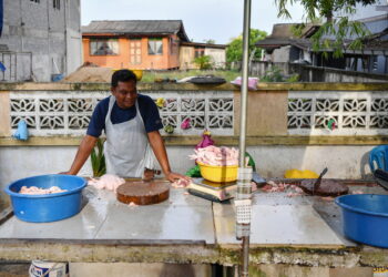 KUALA TERENGGANU, 23 Mei -- Bekalan ayam mentah sukar diperoleh menyebabkan rata-rata peniaga menjual ayam pada harga sekitar RM11 hingga RM13 sekilogram.

Peniaga, Roslan Ali, 39, ketika ditemui semasa tinjauan Bernama di Kuala Ibai di sini, berkata kenaikan harga bukanlah disebabkan peniaga sengaja mengambil kesempatan, namun sememangnya ia berlaku akibat kekurangan bekalan.
 
Media sebelum ini melaporkan bahawa kekurangan bekalan ayam di pasaran disebabkan kartel ayam bertindak memberhentikan operasi ladang, sekali gus mengakibatkan kekurangan bekalan ayam di pasaran.

Menerusi laporan berkenaan, alasan yang diberikan adalah ayam di ladang belum mencapai berat jualan akibat masalah penggemukan ayam terjejas.

-- fotoBERNAMA (2022) HAK CIPTA TERPELIHARA