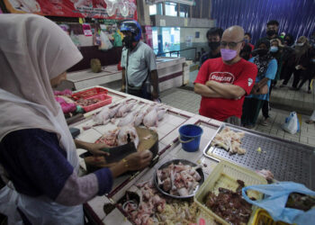 KUANTAN, 22 Mei -- Pelanggan beratur panjang ketika membeli ayam di sebuah gerai di Pasar Besar Kuantan hari ini.

Tinjauan mendapati bekalan ayam berkurangan menyebabkan pelanggan hanya dibenarkan membeli maksima dua ekor ayam seorang.

Kebanyakan peniaga hanya menerima 20 ke 30 bekalan ekor ayam sahaja dan terpaksa menutup awal kerana cepat habis.

Selain itu beberapa gerai dilihat tutup dipercayai peniaga tidak mendapat bekalan dari pihak pembekal.

 --fotoBERNAMA (2022) HAK CIPTA TERPELIHARA