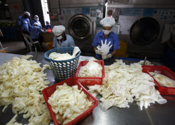 Workers carry out tests on gloves at a Top Glove factory in Meru outside Kuala Lumpur June 25, 2009. Malaysia's Top Glove has seen its revenue jump as much as 20 percent in the last two months as orders jumped by around a third due to the global flu pandemic, its chairman said today. REUTERS/Bazuki Muhammad (MALAYSIA BUSINESS SOCIETY HEALTH) To match INTERVIEW TOPGLOVE/ - GM1E56P19PG01