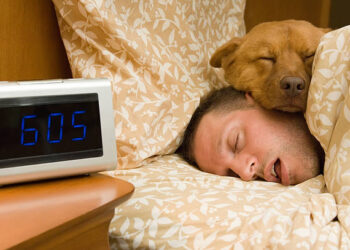 Man and his dog comfortably sleeping in.